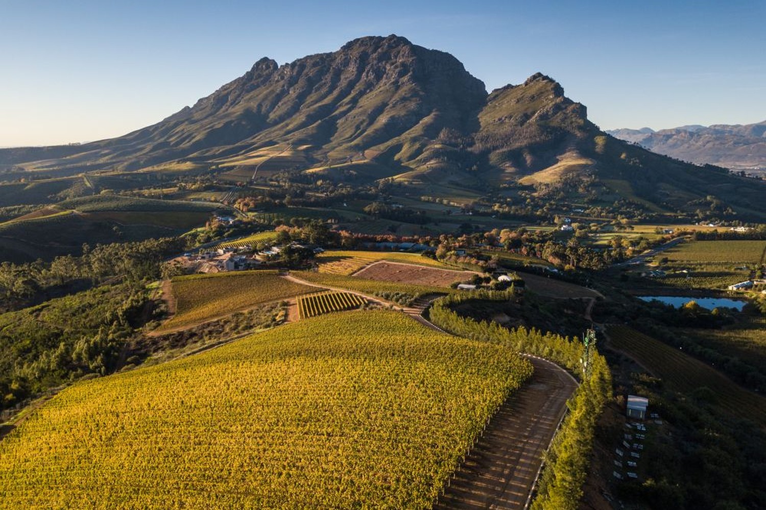 Winelands_01