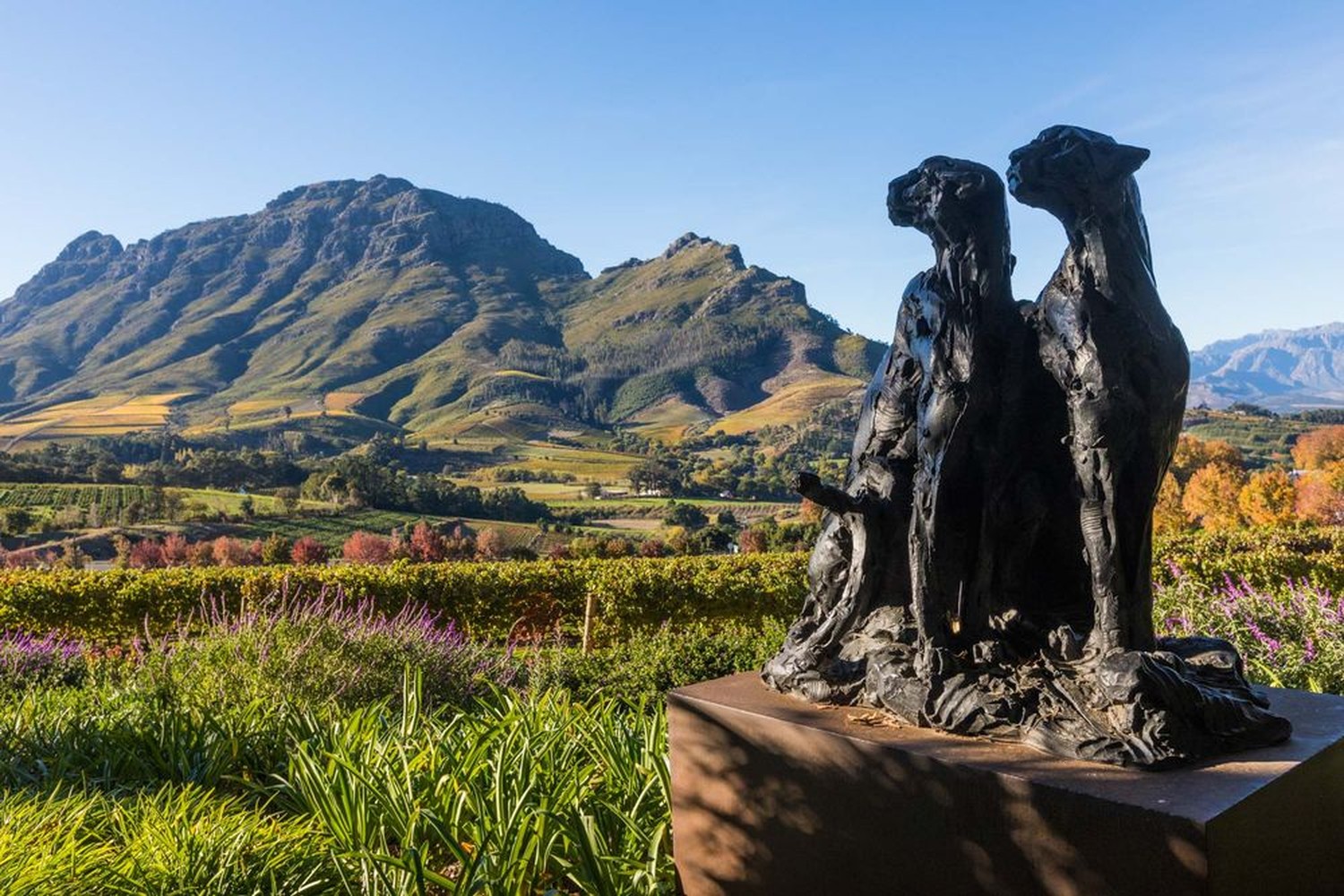 Winelands_02
