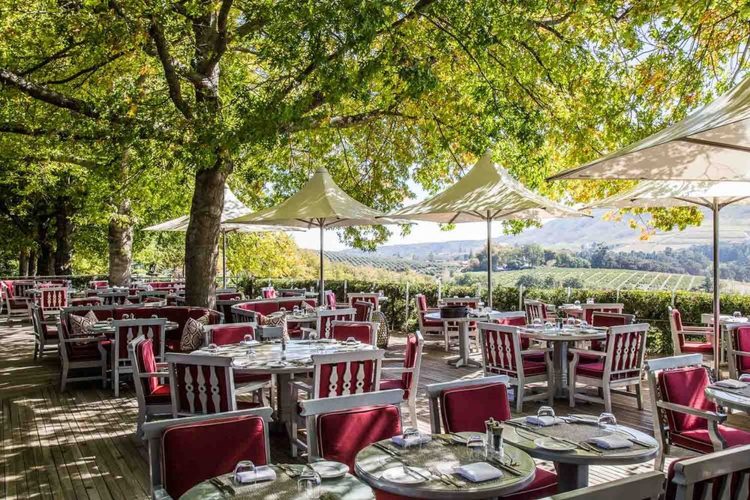 Winelands_03